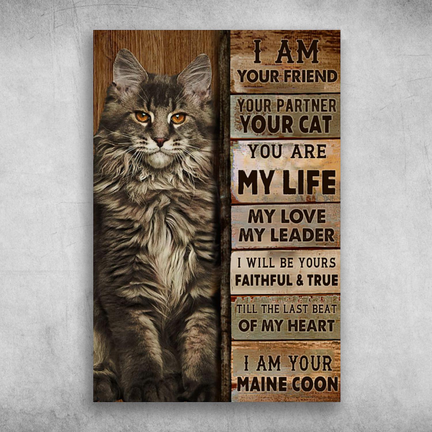 Maine Coon Cat Portrait Canvas For Son - I Am Your Friend, You Are My Life My Love My Leader, Perfect Gift For Maine Coon Lover, Cat Lover - Amzanimalsgift