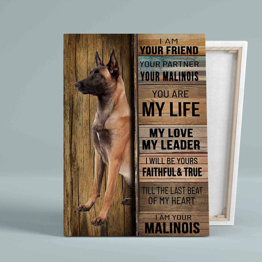 Malinois Portrait Canvas - I Am Your Friend Canvas - Pet Gift For Dog Lover, Dog Mom, Dad Portrait Canvas, Wall Decor Visual Art - Amzanimalsgift