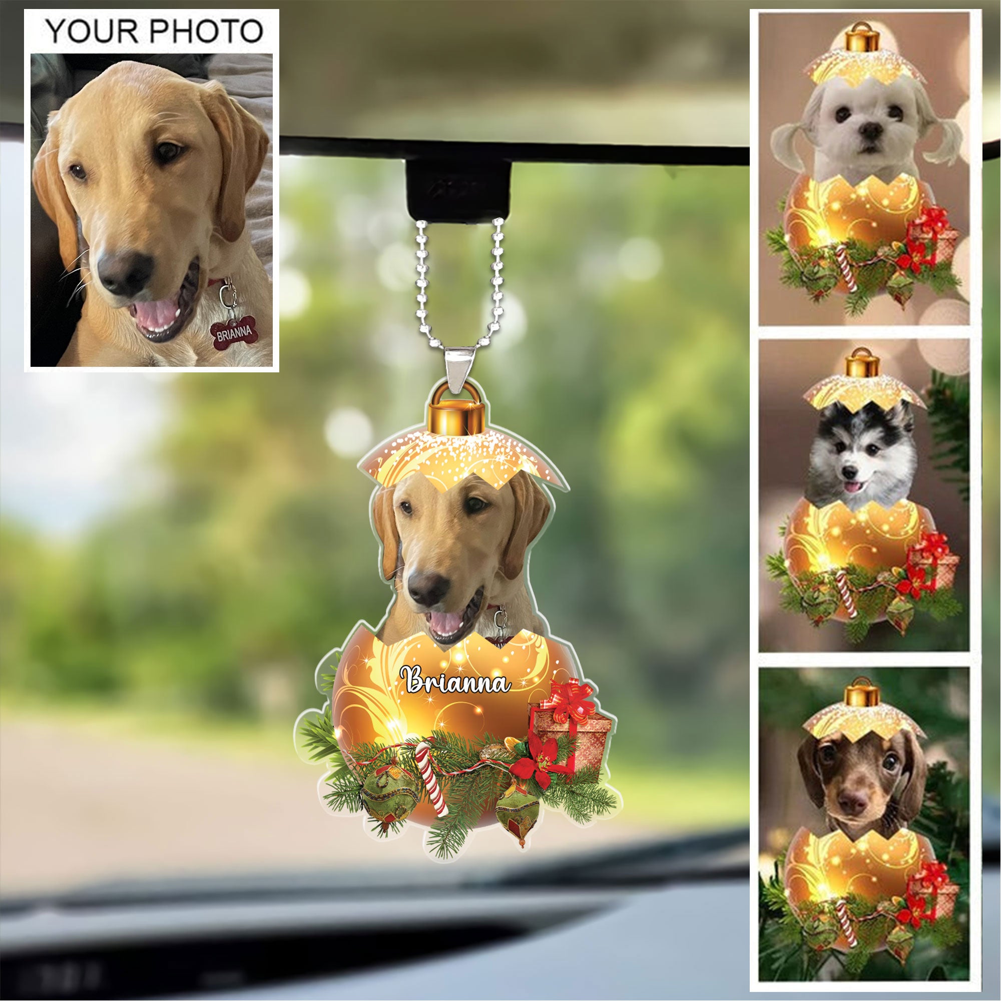 Personalized Gift For Pet Lovers, Custom Image Pet In Egg Car Ornament For Pet Lovers