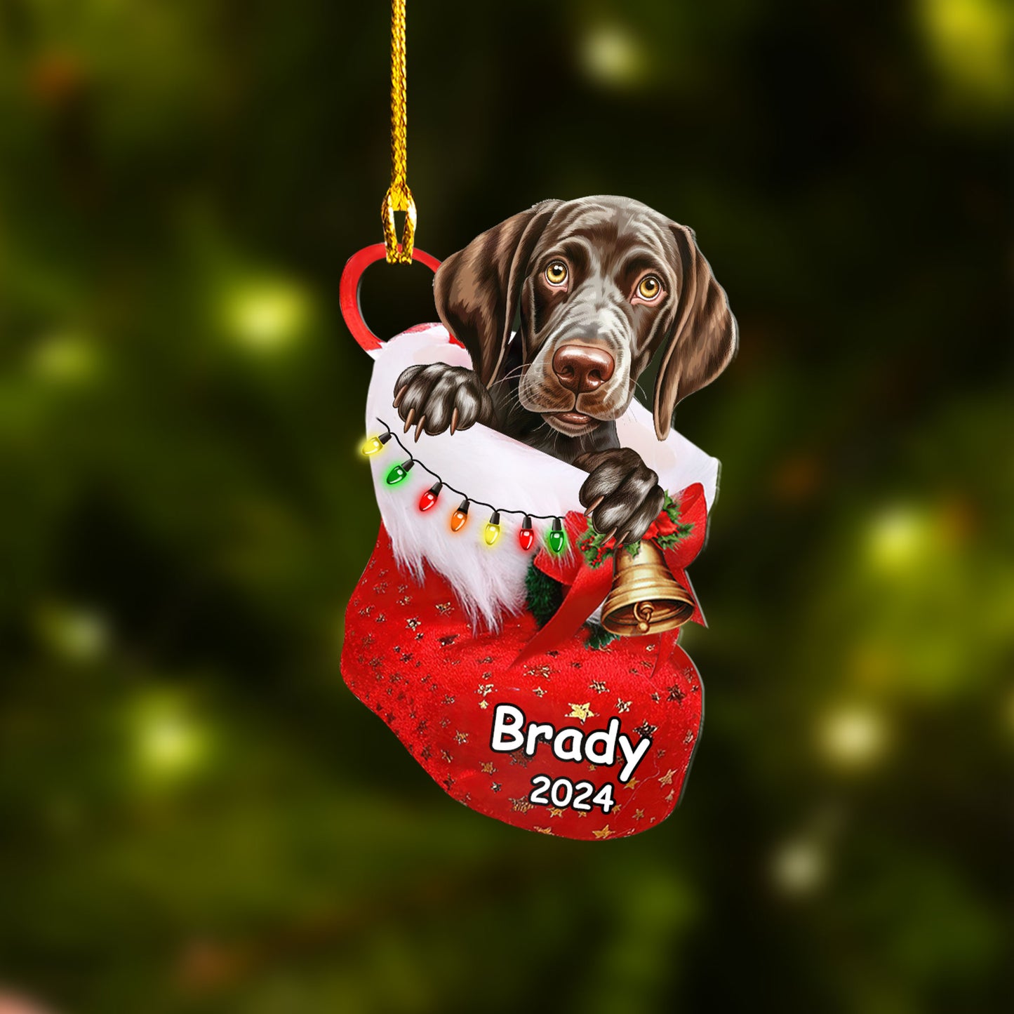 Custom Dog Acrylic Christmas Ornament, Personalized German Shorthaired Pointer In Stocking Christmas Acrylic Ornament for Dog Lover