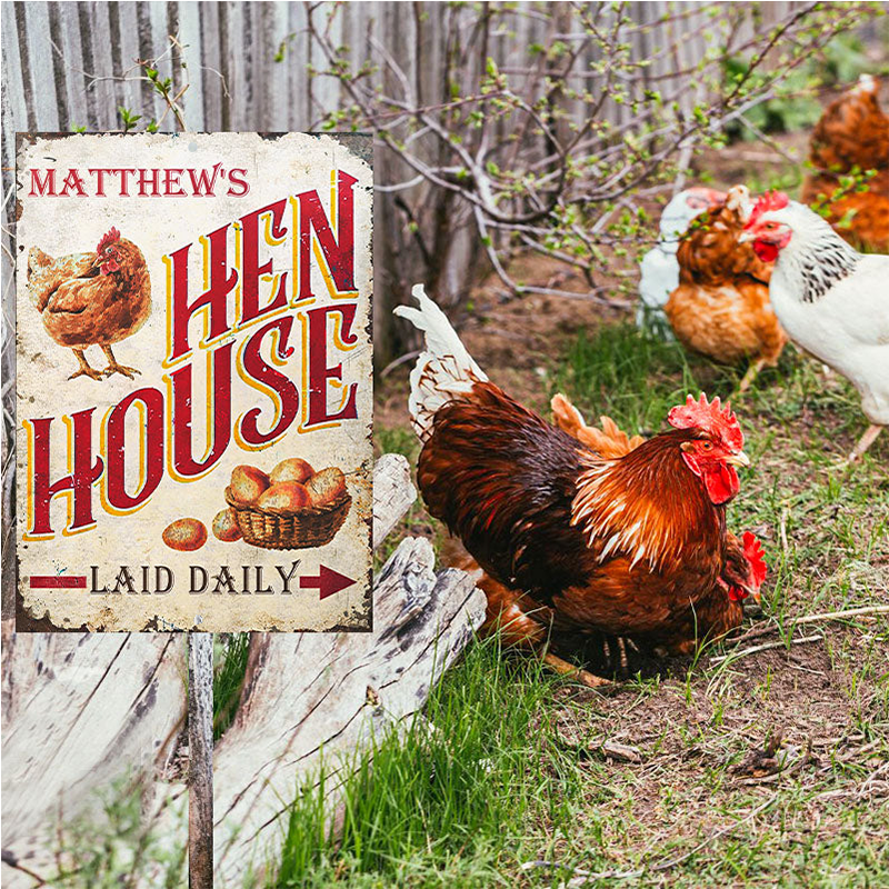 Personalized Chicken Hen House Laid Daily Metal Signs - Chicken Farm Metal Signs Decoration, Chicken Signs