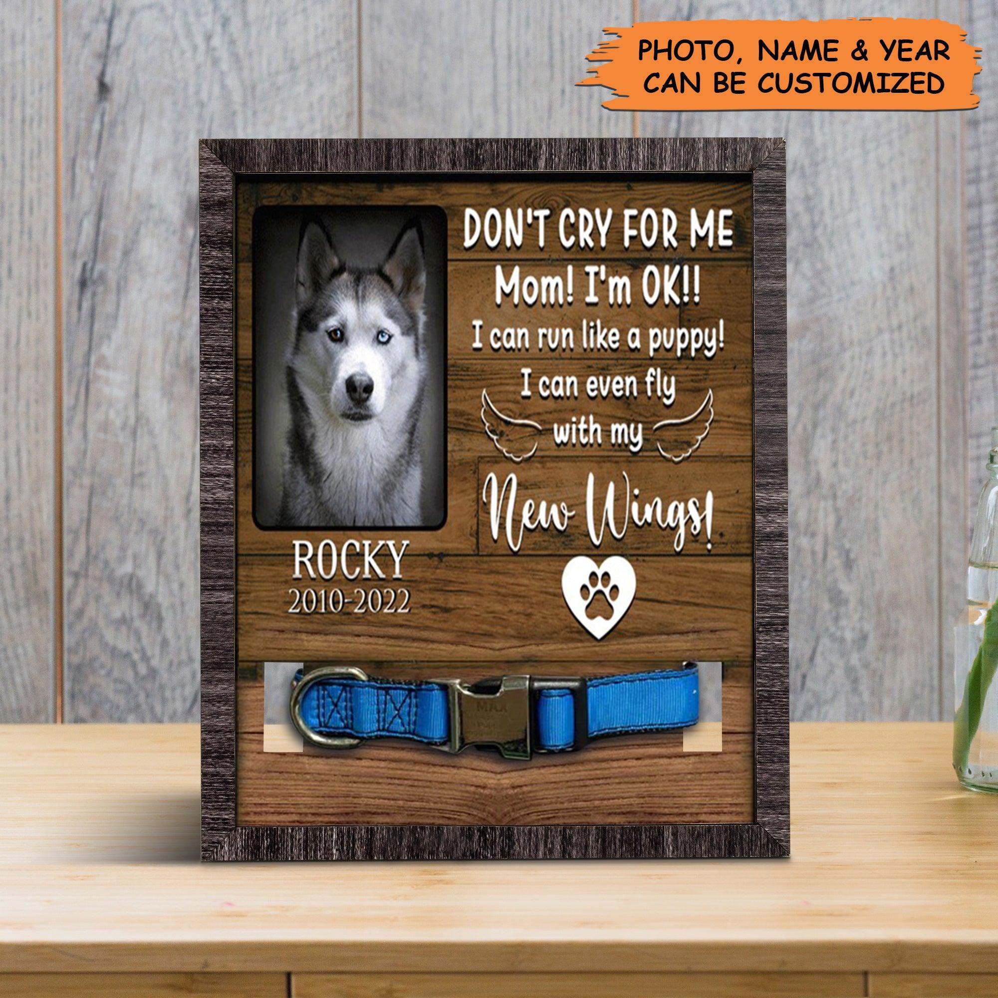 Personalized Pet Collar Frame - Custom A Siberian Husky Pet Picture Frames, Pet Loss Sympathy, Memorial Pet Collar Sign - Gift For Grieving Pet Owner - Amzanimalsgift