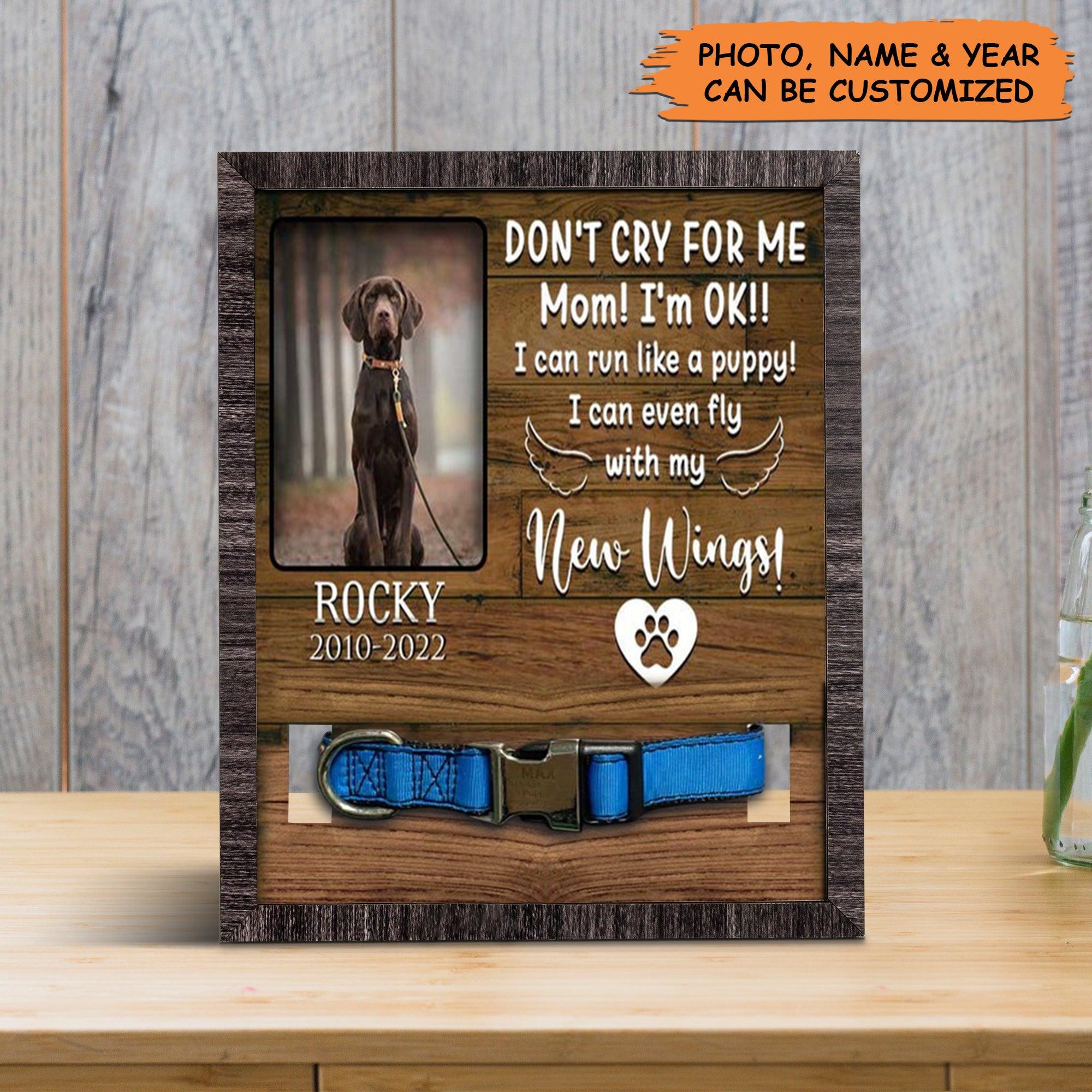 Personalized Pet Collar Frame - Don't Cry For Me Dog Lover Gift, Pet Loss Sympathy, Custom Memorial Pet Collar Sign - Gift For Pet Lovers - Amzanimalsgift