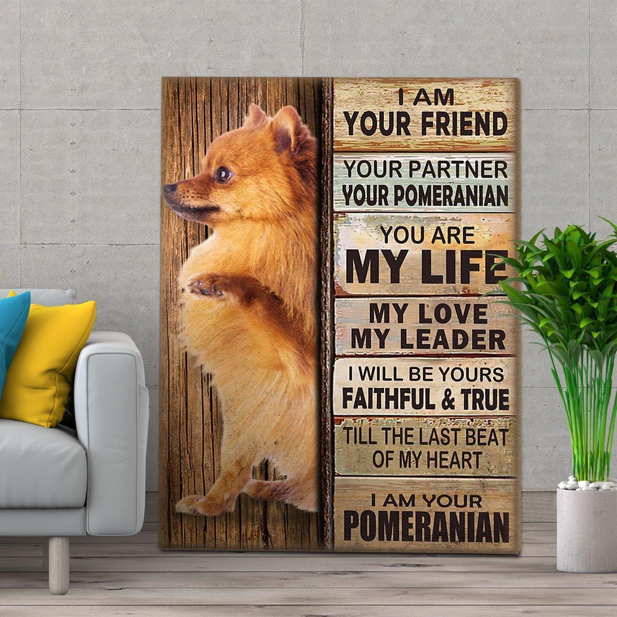 Pomeranian Portrait Canvas - Dog I Am Your Friend - Gift For Dog Lovers, Husband, Wife, Son, Daughter, Friends Portrait Canvas, Wall Decor Visual Art - Amzanimalsgift