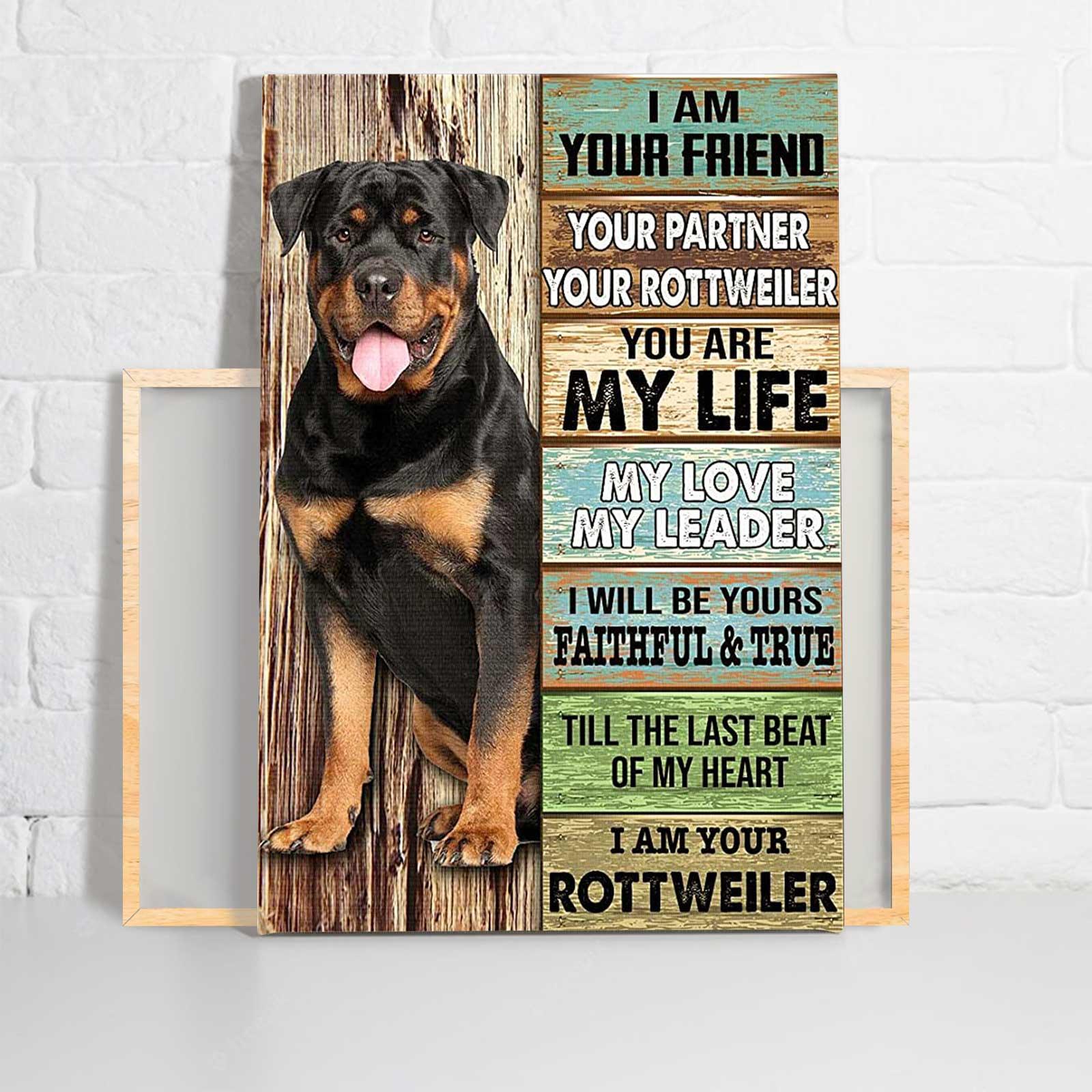 Rottweiler Portrait Canvas, I Am Your Friend Your Partner Your Rottweiler Portrait Canvas, Wall Decor Visual Art - Perfect Gift For Dog Lovers, Family - Amzanimalsgift