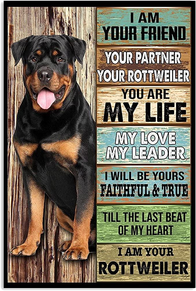 Rottweiler Portrait Canvas, I Am Your Friend Your Partner Your Rottweiler Portrait Canvas, Wall Decor Visual Art - Perfect Gift For Dog Lovers, Family - Amzanimalsgift