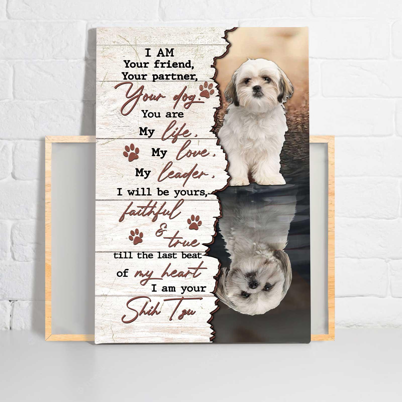 Shih Tzu Portrait Canvas- Shih Tzu painting - Gift for Dog lover- I'm your amazing Shih Tzu - Dog Portrait Canvas Prints, Wall Art - Amzanimalsgift