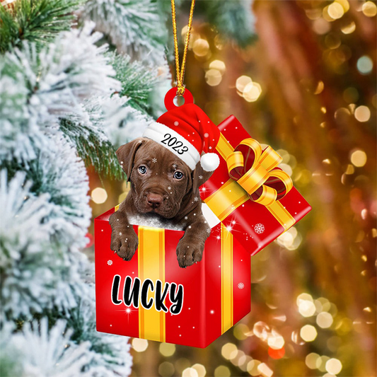 Custom Dog Acrylic Christmas Ornament, Personalized Baby Pitbull & Santa Hat In Red Cup Christmas Acrylic Ornament for Dog Lover