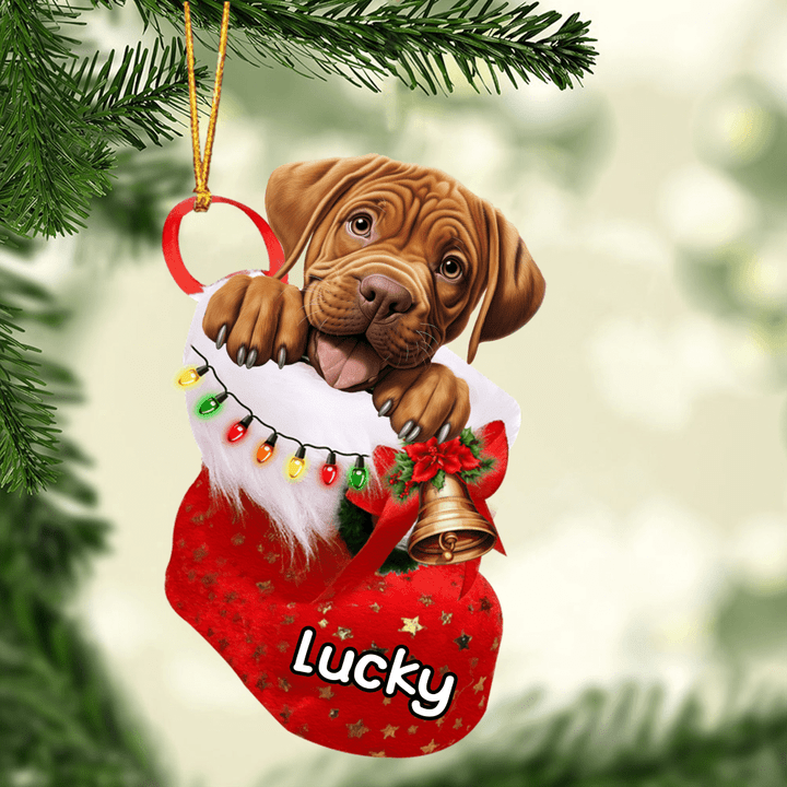 Custom Dog Acrylic Christmas Ornament, Personalized Awesome Dogue de Bordeaux In Stocking Christmas Acrylic Ornament for Dog Lover