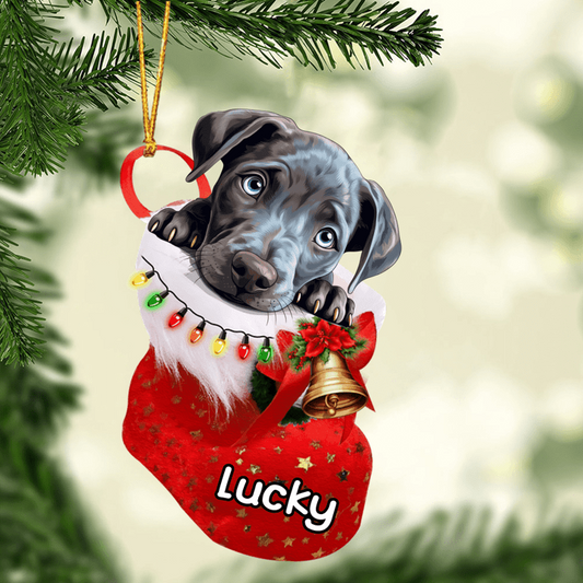 Custom Dog Acrylic Christmas Ornament, Personalized Blue Lacy Christmas Stocking Acrylic Ornament for Dog Lover, New Year