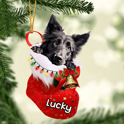 Custom Dog Acrylic Christmas Ornament, Personalized Belgian Sheepdog in Christmas Stocking Acrylic Ornament for Dog Lover, New Year