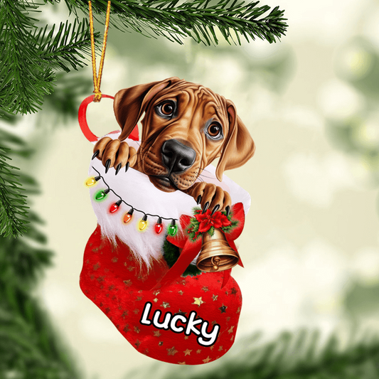 Custom Dog Acrylic Christmas Ornament, Personalized Rhodesian Ridgeback In Stocking Christmas Acrylic Ornament for Dog Lover, New Year