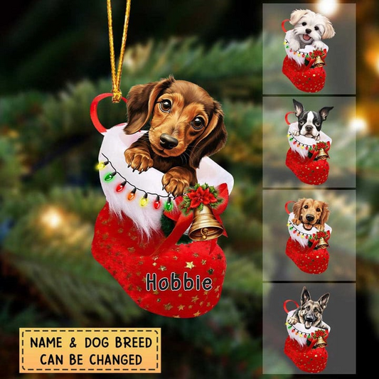 Custom Dog Acrylic Christmas Ornament, Personalized Baby Dachshund in Christmas Stocking Acrylic Ornament for Dog Lover, New Year