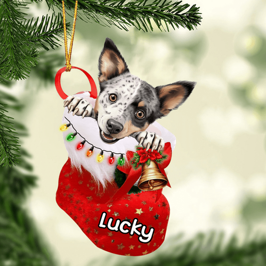 Custom Dog Acrylic Christmas Ornament, Personalized Australian Stumpy Tail Cattle in Christmas Stocking Acrylic Ornament for Dog Lover