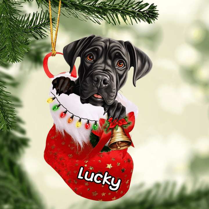 Custom Dog Acrylic Christmas Ornament, Personalized Cane Corso In Stocking Christmas Acrylic Ornament for Dog Lover, New Year