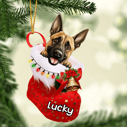 Custom Dog Christmas Car Ornament, Personalized Belgian Malinois in Christmas Stocking Car Ornament for Dog Lover, New Year