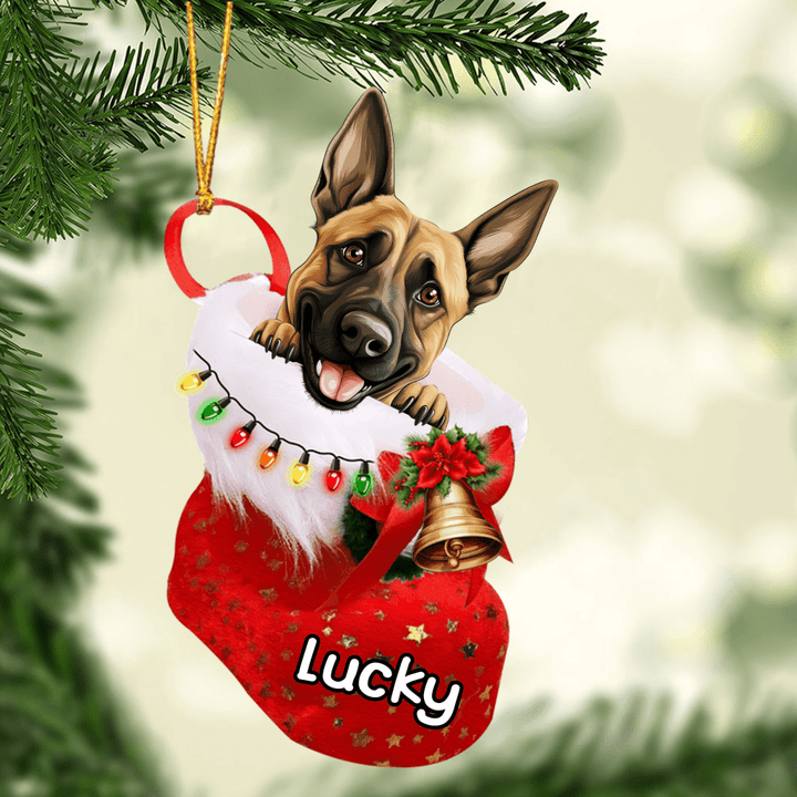 Custom Dog Acrylic Christmas Ornament, Personalized Belgian Malinois in Christmas Stocking Acrylic Ornament for Dog Lover, New Year