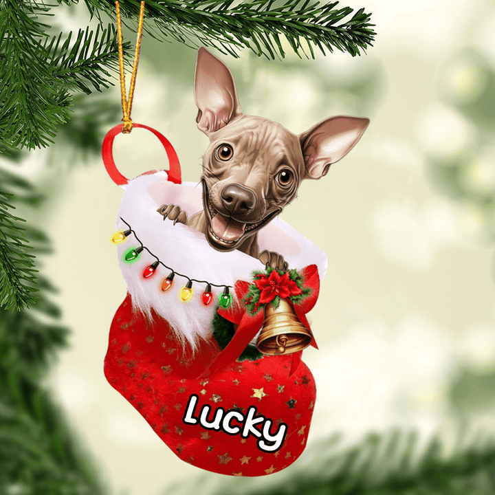 Custom Dog Acrylic Christmas Ornament, Personalized American Hairless Terrier in Christmas Stocking Acrylic Ornament for Dog Lover, New Year