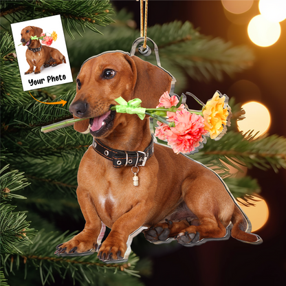 Personalized Acrylic Dog Photo Ornament, Custom Funny Dog Moment Acrylic Ornament For Christmas, Funny Dog Gift For Dog Lovers