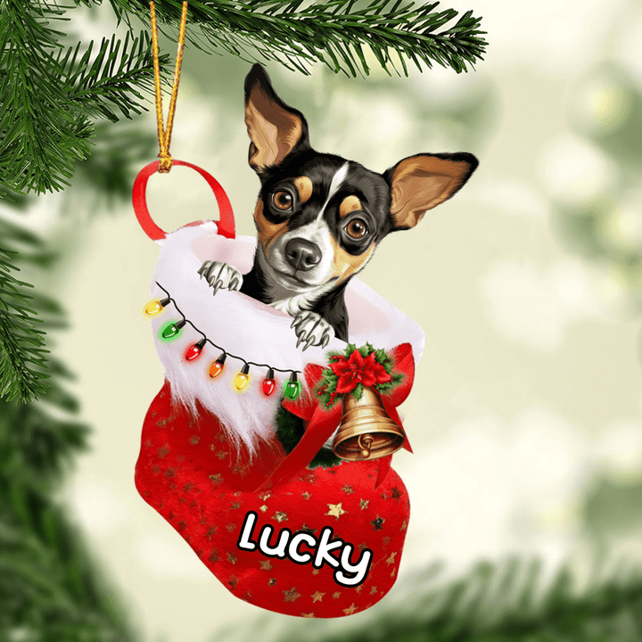 Custom Dog Acrylic Christmas Ornament, Personalized Cute Rat Terrier In Stocking Christmas Acrylic Ornament for Dog Lover, New Year