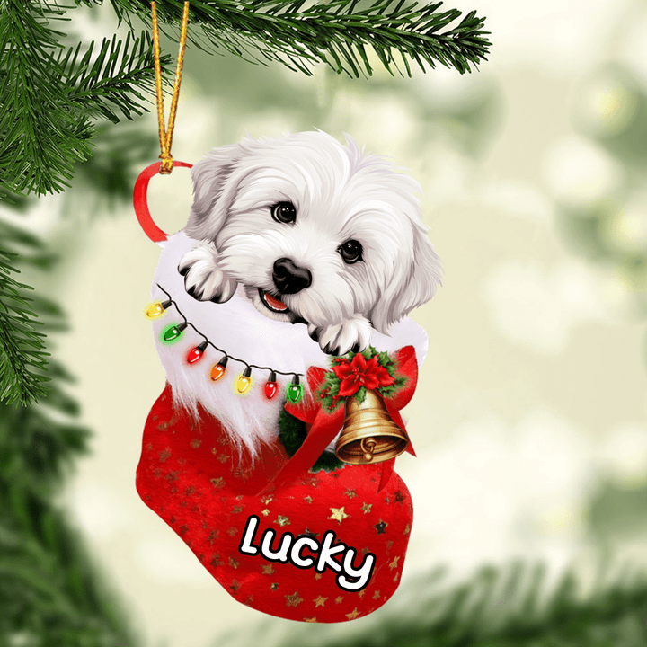 Custom Dog Acrylic Christmas Ornament, Personalized Coton De Tulear In Stocking Christmas Acrylic Ornament for Dog Lover, New Year