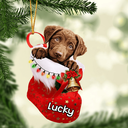 Custom Dog Acrylic Christmas Ornament, Personalized Chesapeake Bay Retriever In Stocking Christmas Acrylic Ornament for Dog Lover