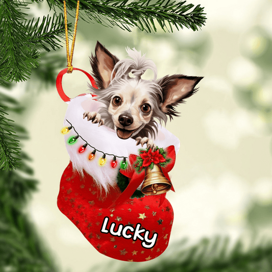 Custom Dog Acrylic Christmas Ornament, Personalized Chinese Crested In Stocking Christmas Acrylic Ornament for Dog Lover, New Year