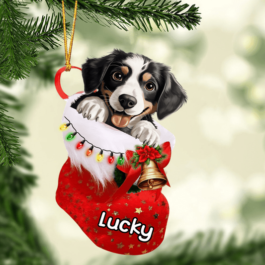 Custom Dog Acrylic Christmas Ornament, Personalized Appenzeller Sennenhund in Christmas Stocking Acrylic Ornament for Dog Lover, New Year