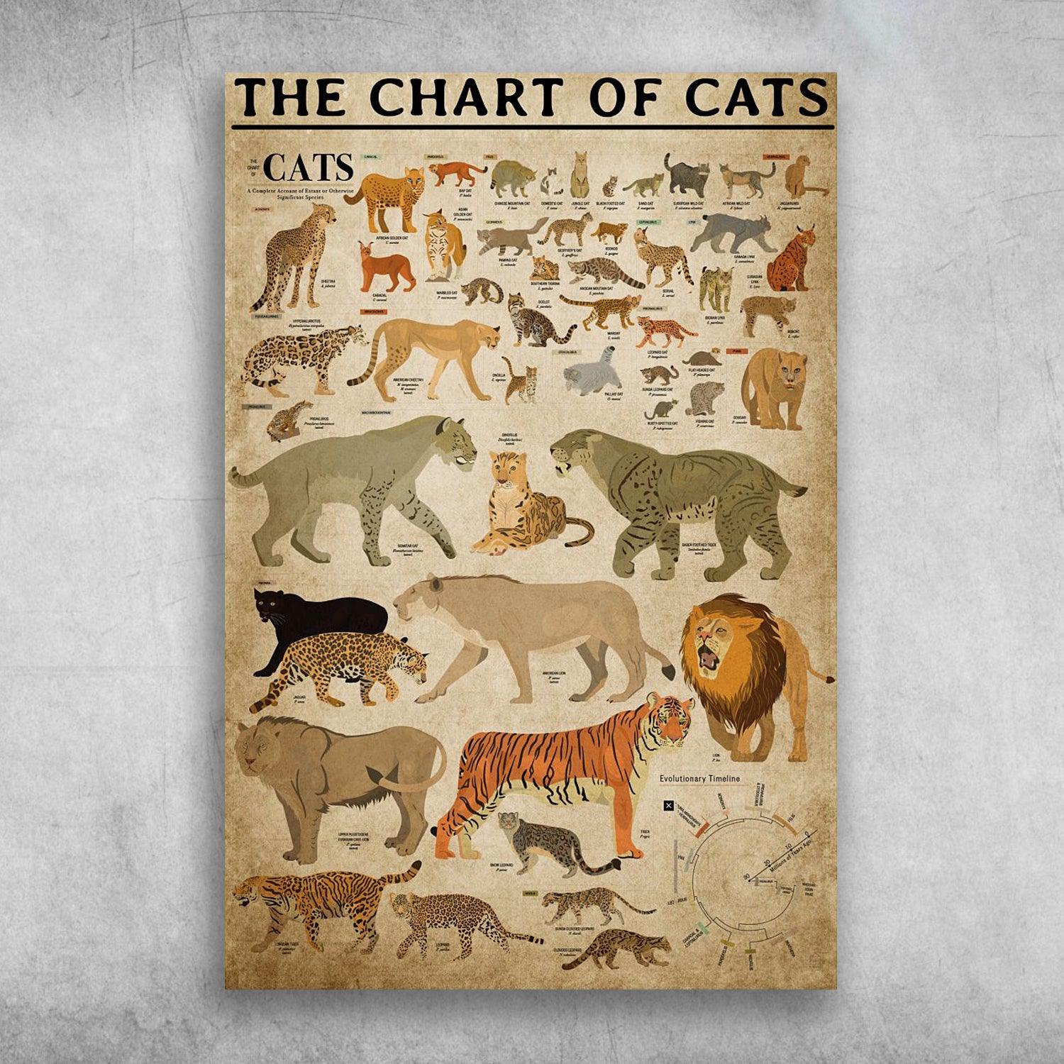 The Chart Of Cats All Species Of Big Cats Listed - Matte Canvas, Wall Decor Visual Art - Perfect Gift For Cat Family, Breeder Or Cat Family Groomer Who Loves This Breed - Amzanimalsgift
