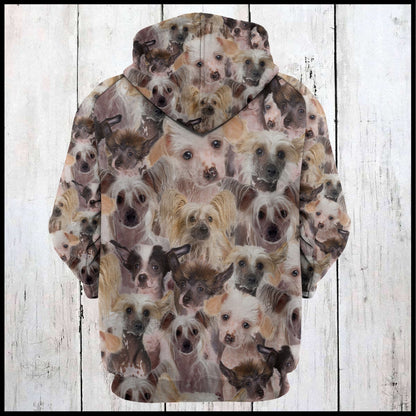 Chinese Crested Awesome Pullover Premium Hoodie , Perfect Outfit For Men And Women On Christmas New Year Autumn Winter