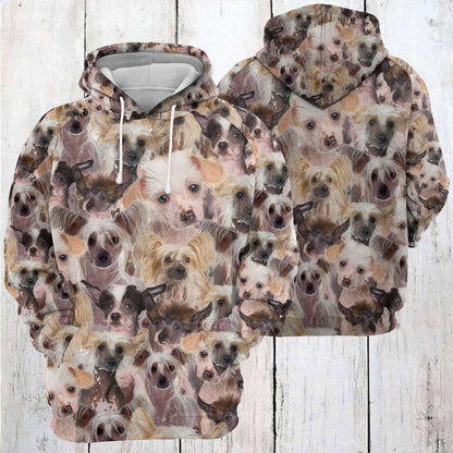 Chinese Crested Awesome Pullover Premium Hoodie , Perfect Outfit For Men And Women On Christmas New Year Autumn Winter