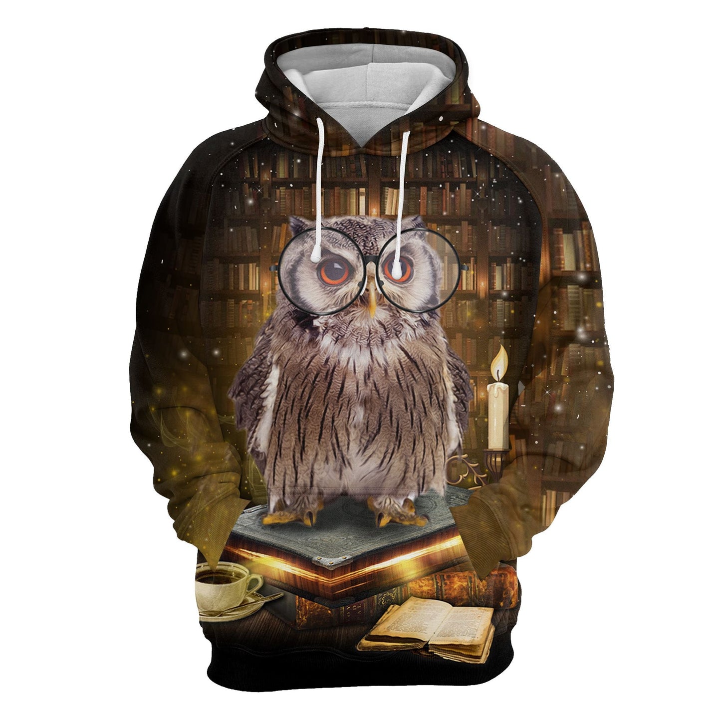 Owl And Book Pullover Premium Hoodie, Perfect Outfit For Men And Women On Christmas New Year Autumn Winter
