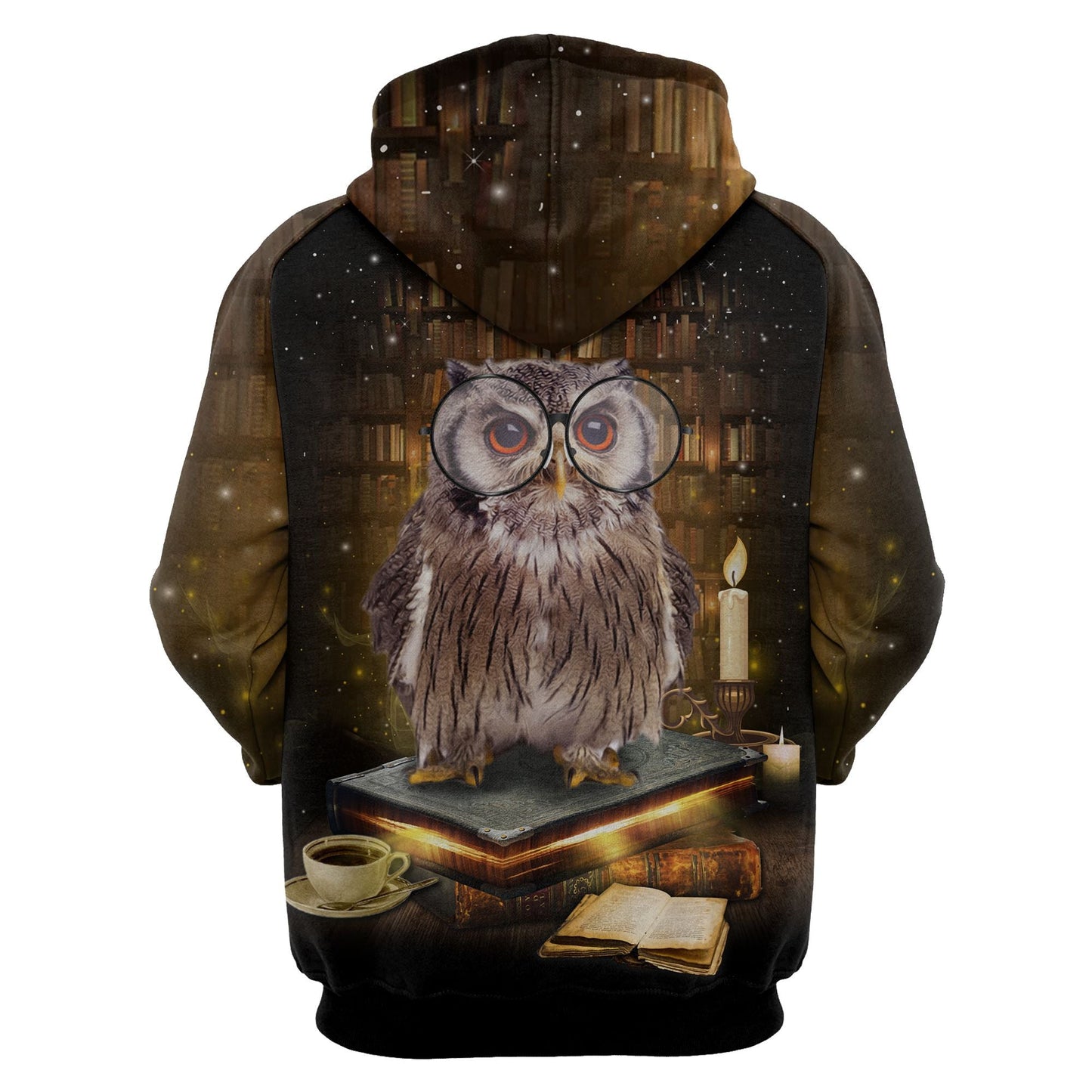 Owl And Book Pullover Premium Hoodie, Perfect Outfit For Men And Women On Christmas New Year Autumn Winter