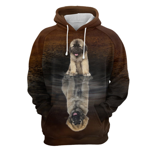 Cute Caucasian Shepherd Dog Reflection Pullover Premium Hoodie, Perfect Outfit For Men And Women On Christmas New Year Autumn Winter