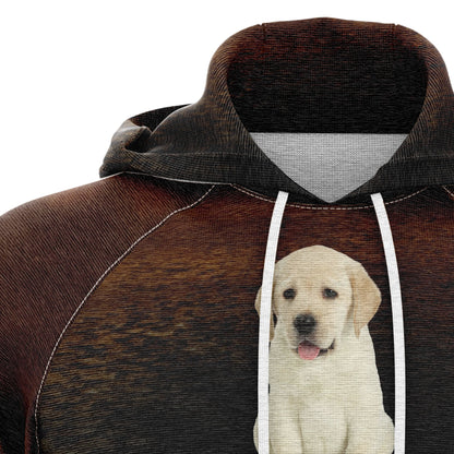 Cute Labrador Retriever Reflection Pullover Premium Brown Hoodie, Perfect Outfit For Men And Women On Christmas New Year Autumn Winter