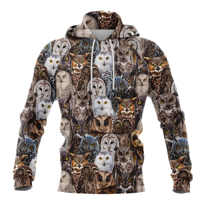 Owl Pullover Premium Hoodie, Perfect Outfit For Men And Women On Christmas New Year Autumn Winter