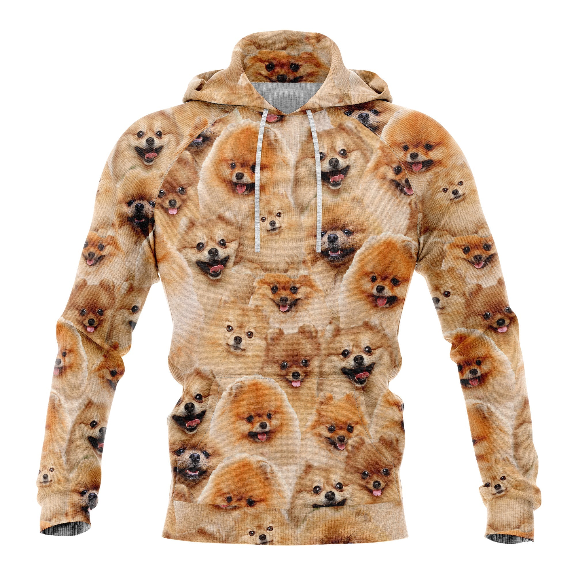 Pomeranian Pullover Premium Hoodie, Perfect Outfit For Men And Women On Christmas New Year Autumn Winter